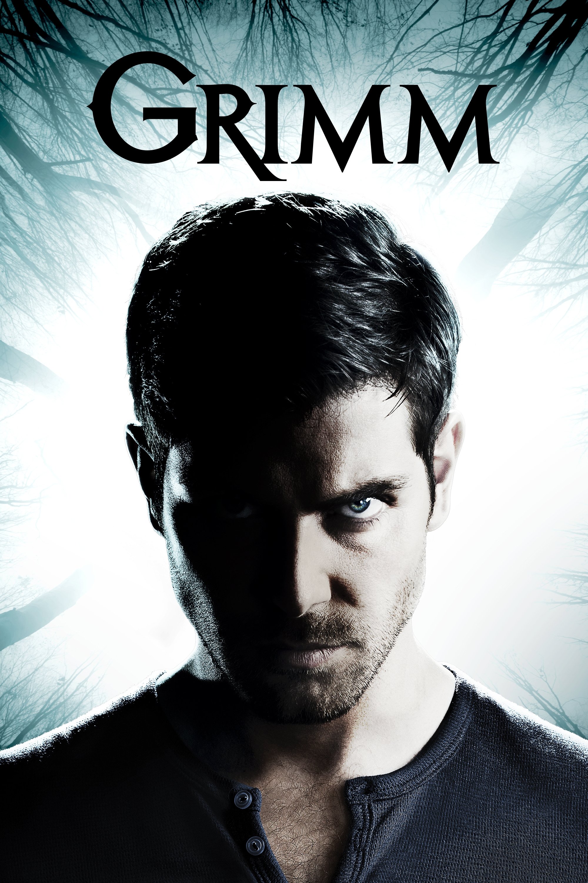 tv-series-poster-1